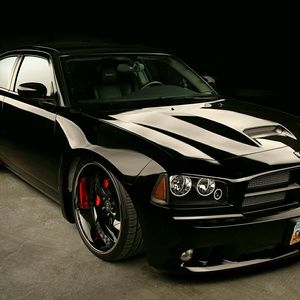 Meet your Posher, Jay